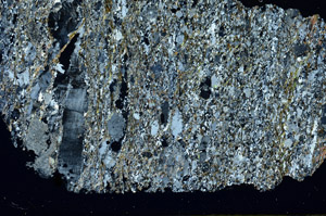 Cross Polarized, S87975