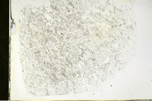 Plane Polarized, S87982