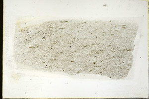 Plane Polarized, S87987