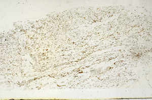 Plane Polarized, S87988