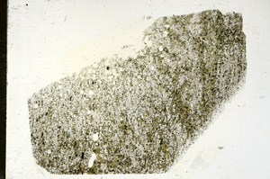 Plane Polarized, S87990