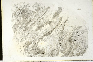 Plane Polarized, S87994