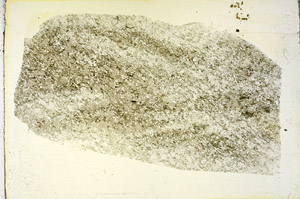 Plane Polarized, S87996