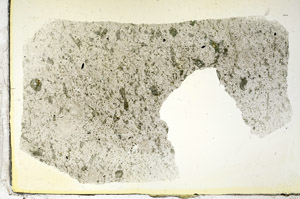 Plane Polarized, S87997