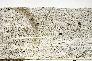 Plane Polarized, S88013