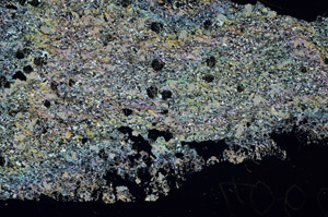 Cross Polarized, S88022