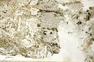 Plane Polarized, S88023