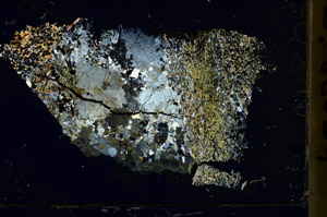 Cross Polarized, S88024