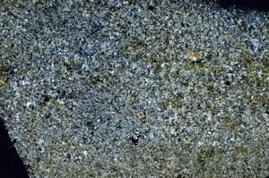 Cross Polarized, S88026