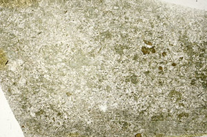 Plane Polarized, S88026