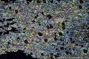 Cross Polarized, S88029