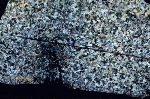 Cross Polarized, S88034