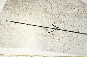 Plane Polarized, S88034