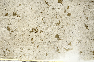 Plane Polarized, S88035