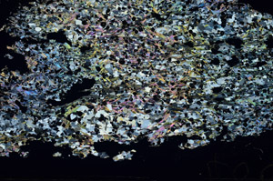 Cross Polarized, S88036