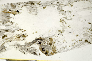 Plane Polarized, S88039