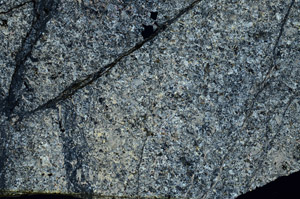 Cross Polarized, S88045