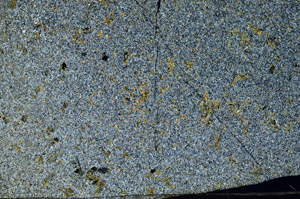 Cross Polarized, S88052