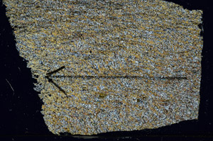 Cross Polarized, S88055