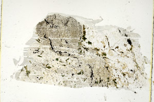 Plane Polarized, S88058