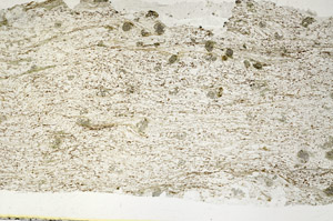Plane Polarized, S88069