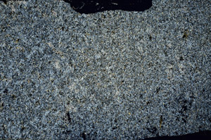 Cross Polarized, S88071