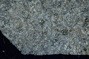 Cross Polarized, S88072