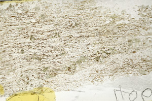 Plane Polarized, S88073