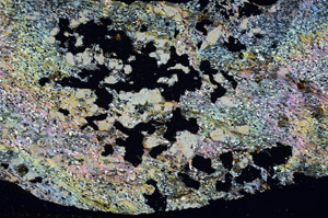 Cross Polarized, S88075