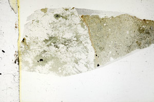 Plane Polarized, S88079