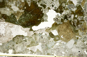 Plane Polarized, S88081/A