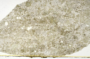 Plane Polarized, S88090