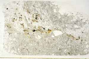 Plane Polarized, S88094