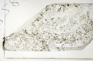 Plane Polarized, S88096