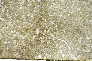 Plane Polarized, S88111