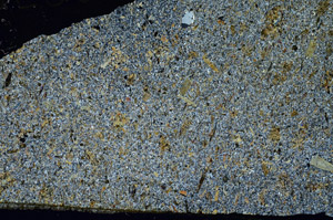 Cross Polarized, S88113