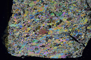 Cross Polarized, S88117