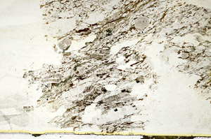 Plane Polarized, S88119