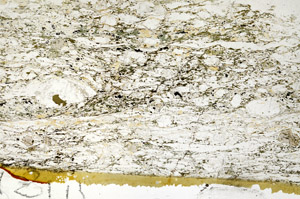 Plane Polarized, S88121