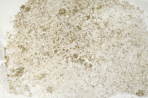 Plane Polarized, S88125