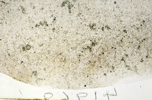 Plane Polarized, S88127