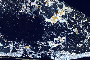 Cross Polarized, S88137