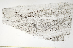 Plane Polarized, S88139