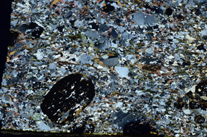 Cross Polarized, S88140
