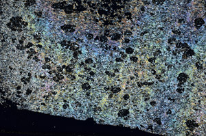 Cross Polarized, S88141