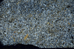 Cross Polarized, S88144