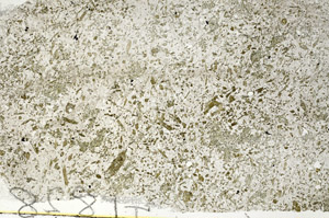 Plane Polarized, S88144