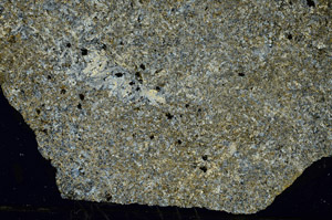 Cross Polarized, S88145