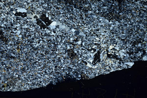 Cross Polarized, S88146
