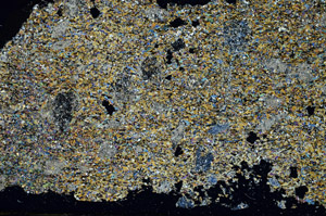 Cross Polarized, S88148
